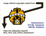 /public/logoimage/1590288180NYSPIF copyright.png